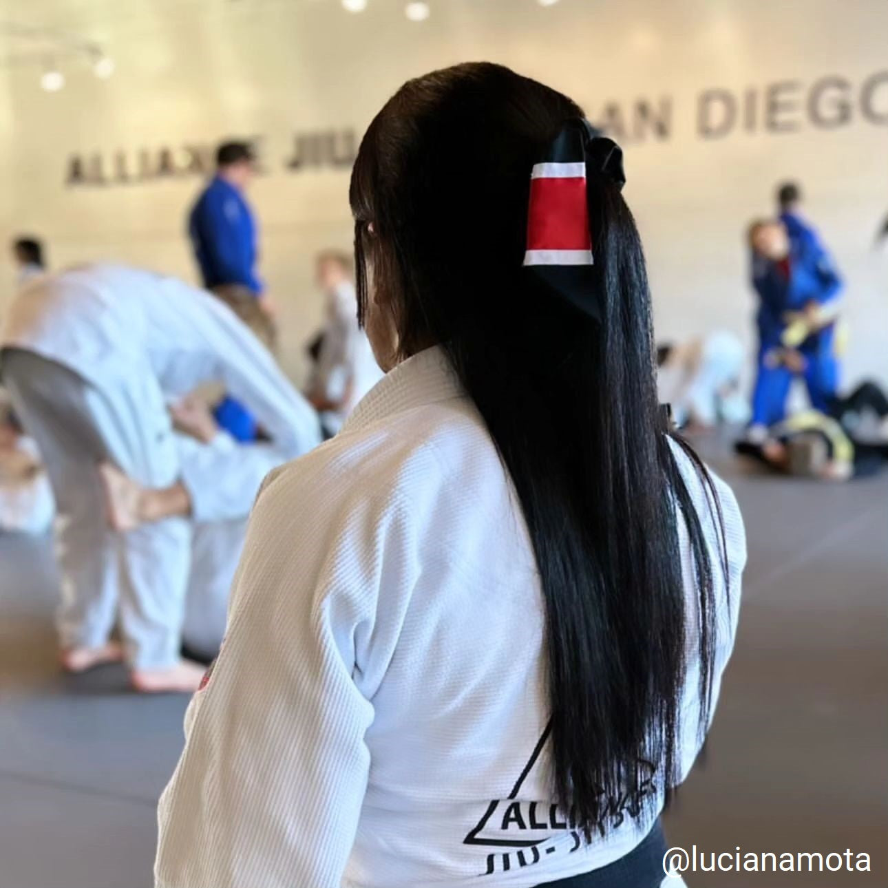 Black Belt BJJ Ranked Hair Tie Scrunchie