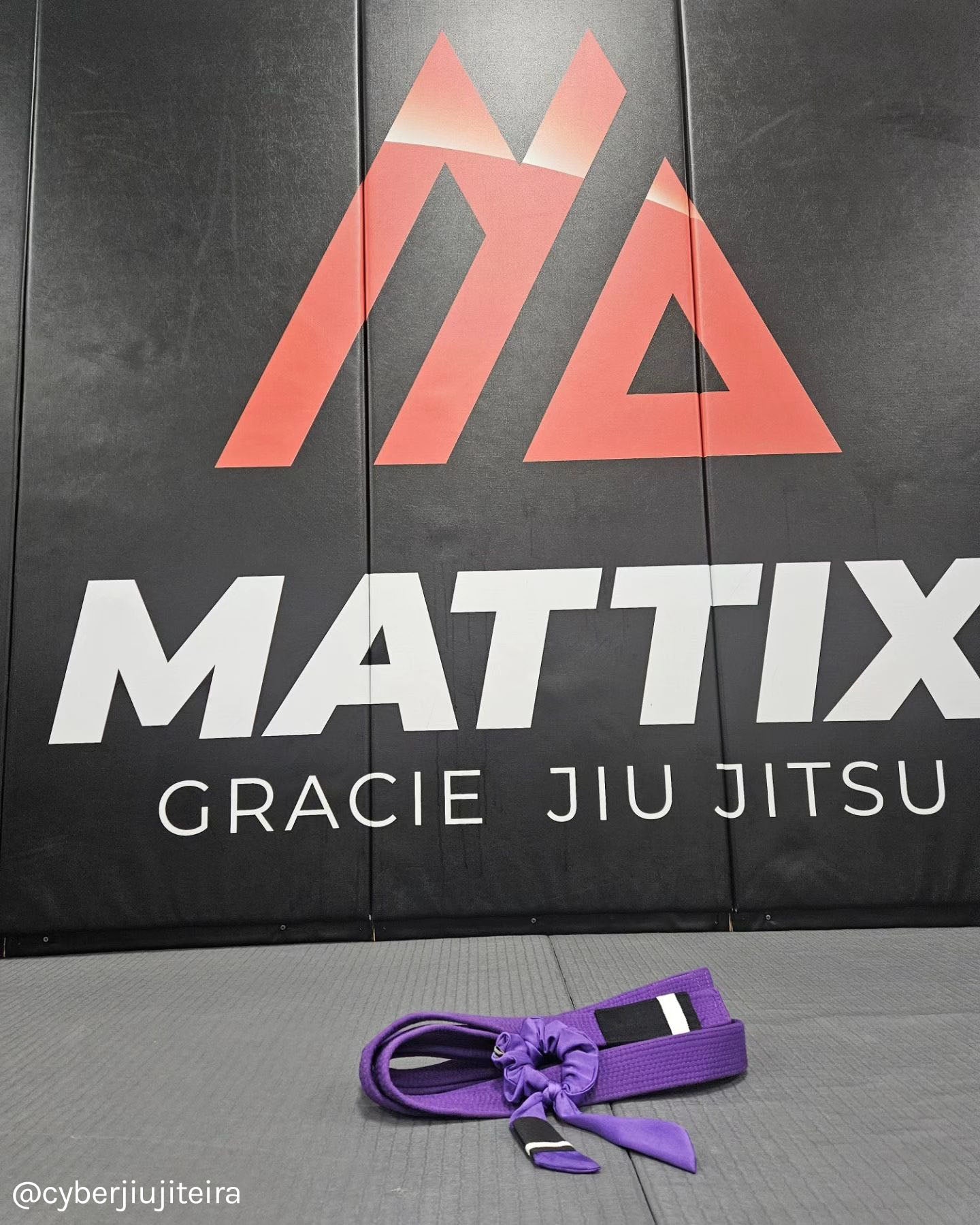 Purple Belt BJJ Ranked Hair Tie Scrunchie