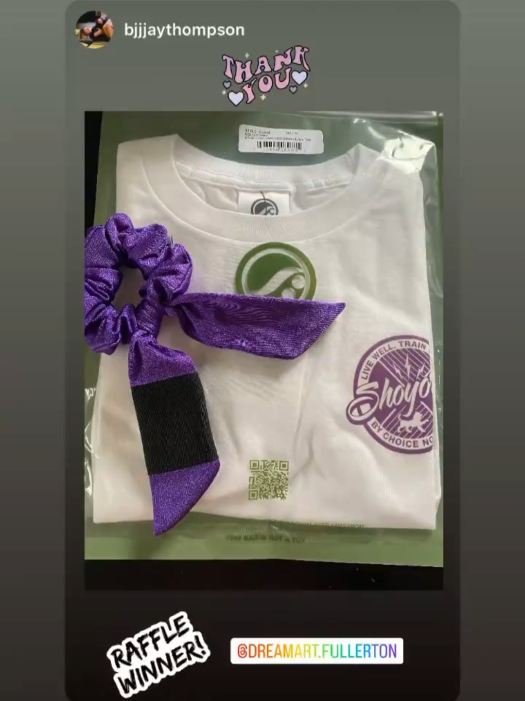 Purple Belt BJJ Ranked Hair Tie Scrunchie