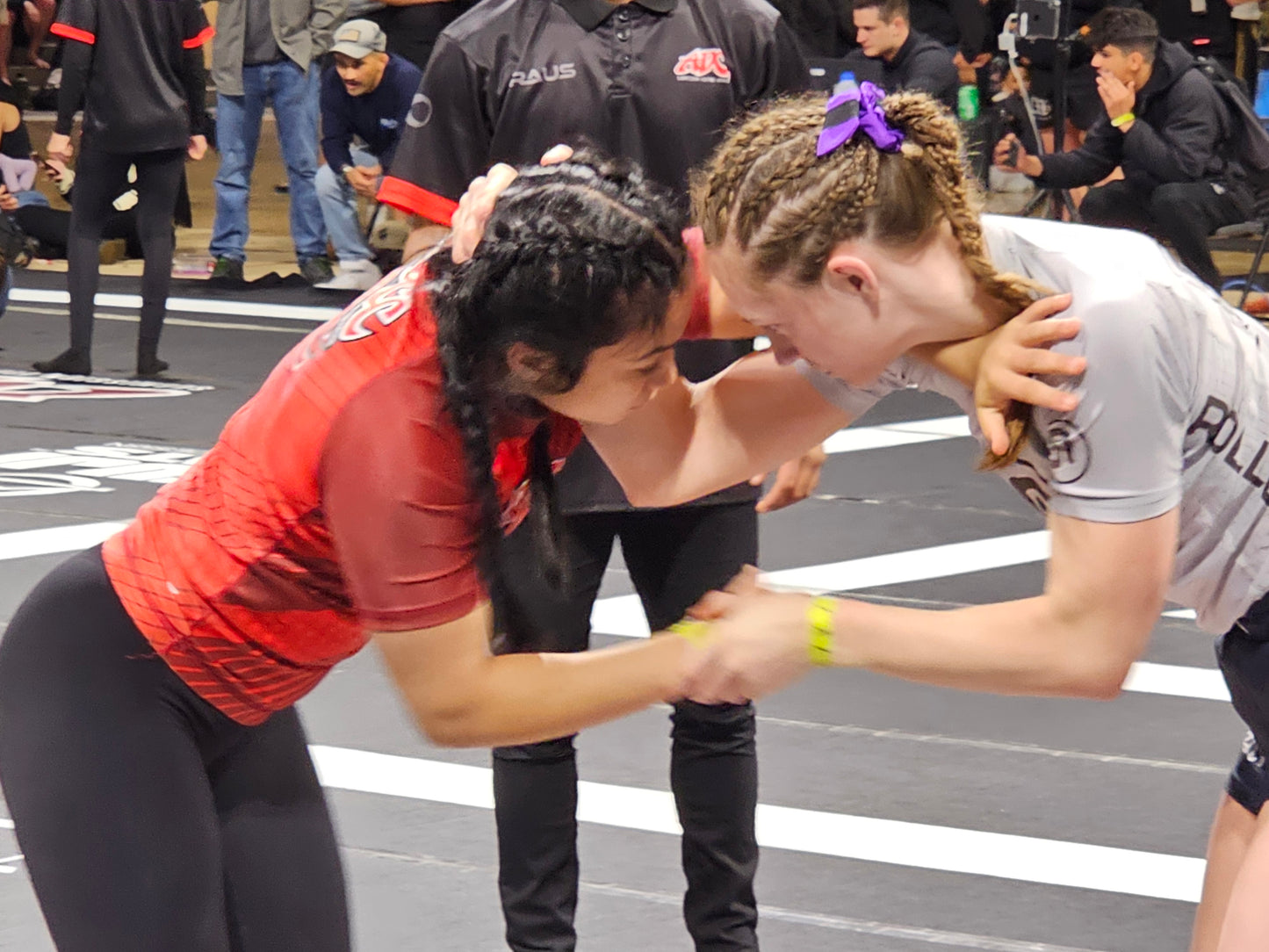 MINI Purple Belt BJJ Ranked Hair Tie Scrunchie